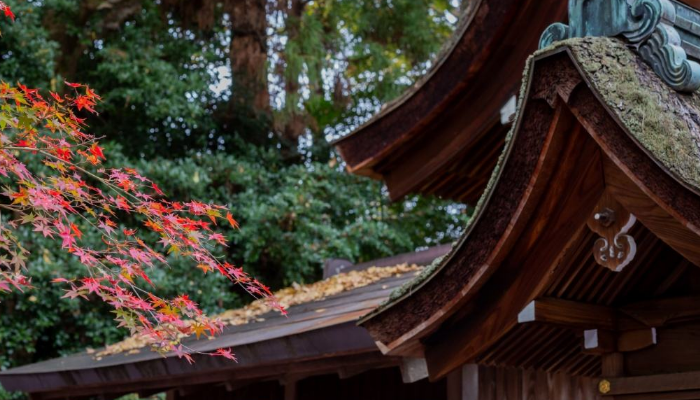 永磁变频空压机